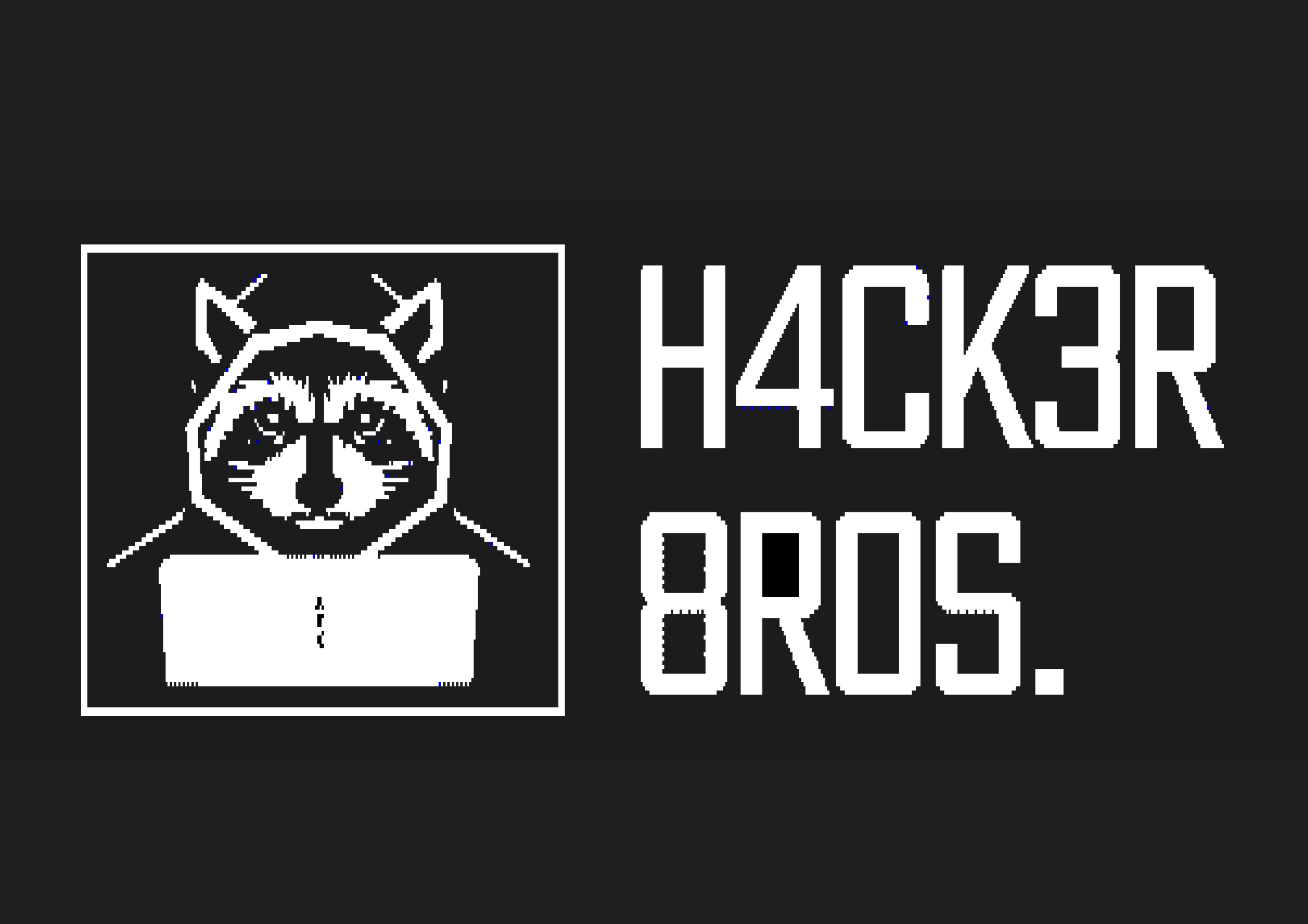 Hackerbros zijn de nieuwste broertjes van Lockpickshop