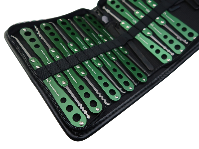 Dino lockpick set Z-style (22-delig)