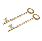 Lockpick set oude sloten – Skeleton keys